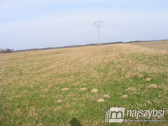 Działka, Nowogard Okolice Nowogardu (11)