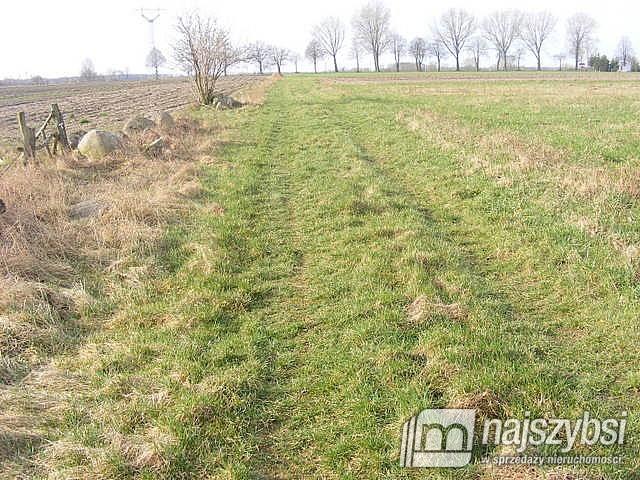 Działka, Nowogard Okolice Nowogardu (13)