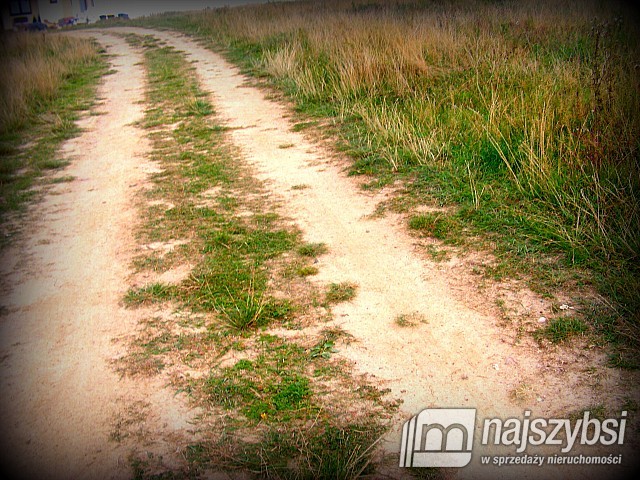 Działka, Nowogard Okolice Nowogardu (15)