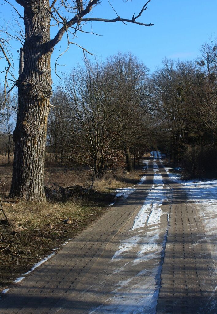 Nieruchomość łącząca naturę z komfortem życia (1)