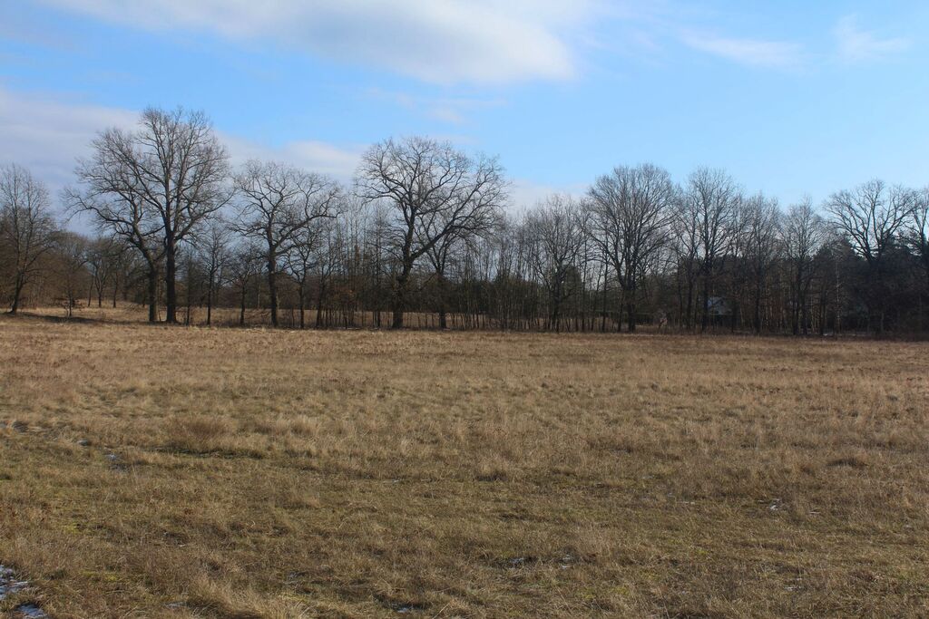 Nieruchomość łącząca naturę z komfortem życia (6)