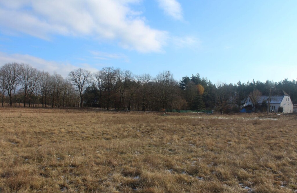 Nieruchomość łącząca naturę z komfortem życia (5)