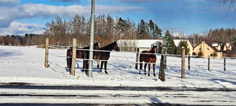 Dom wolnostojący - Chociwle Chociwle (15)