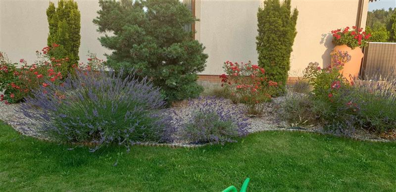 Dom wolnostojący - Chociwle Chociwle (7)