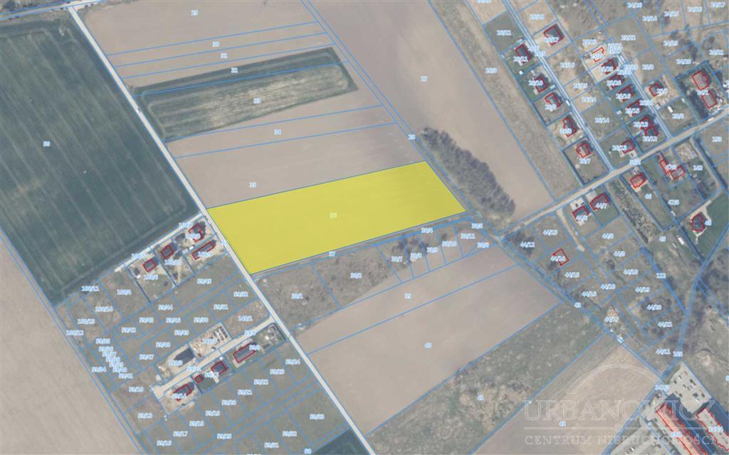 Duża działka dla dewelopera, Koszalin Pszeniczna. (12)