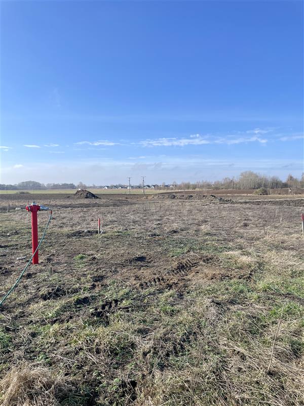 Super działka, Konikowo, 800m2, 105.000 zł! (7)