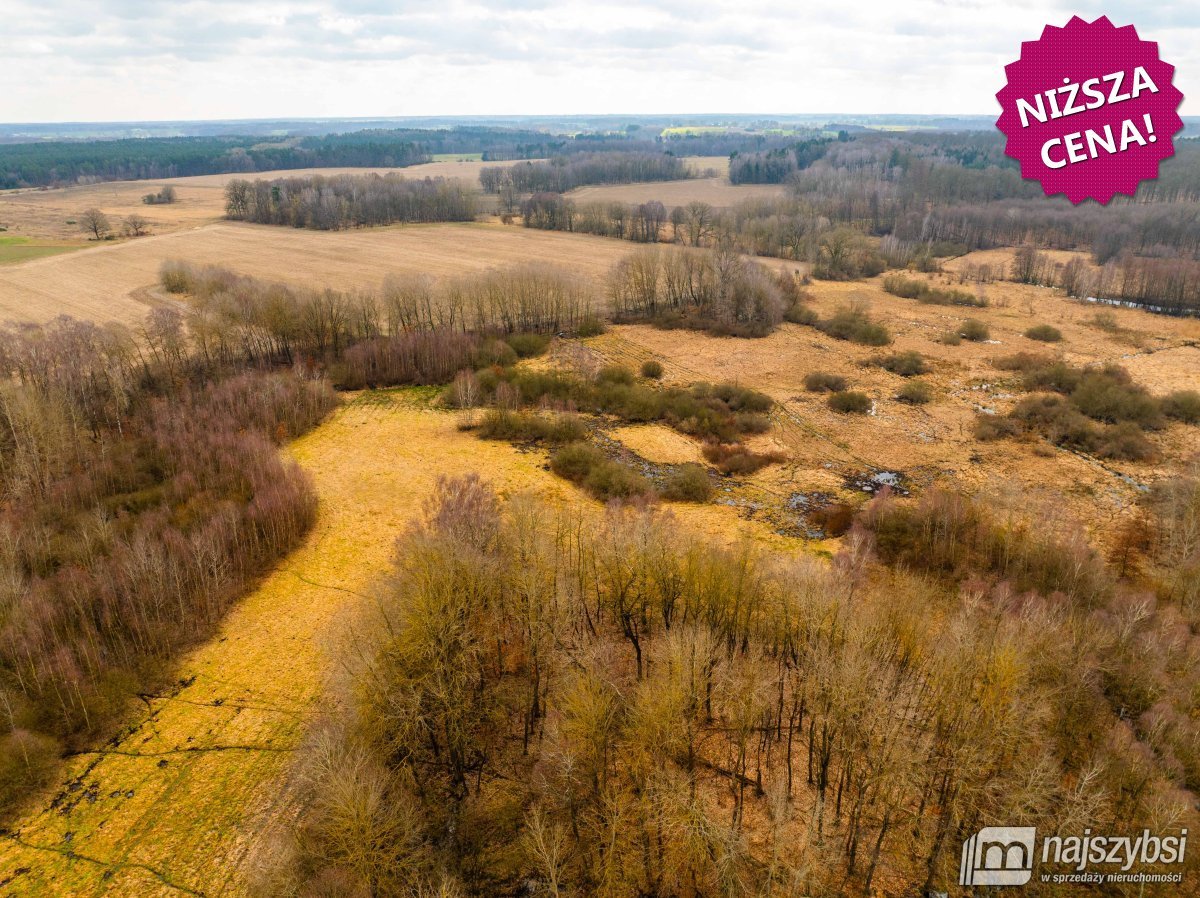 Długołęka - łąka 1,86ha (1)