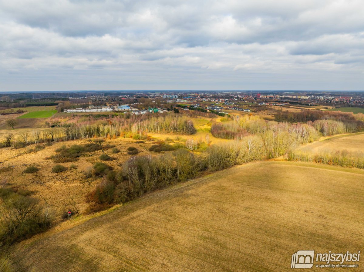 Długołęka - łąka 1,86ha (2)