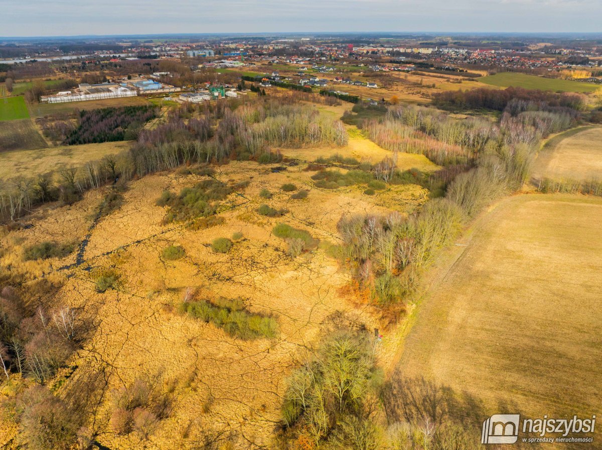 Długołęka - łąka 1,86ha (3)