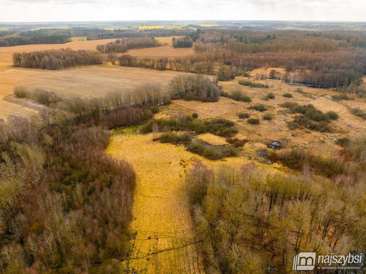 Długołęka - łąka 1,86ha (4)