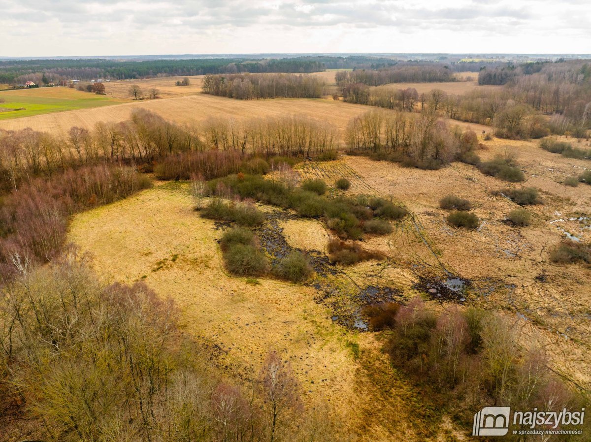 Długołęka - łąka 1,86ha (5)