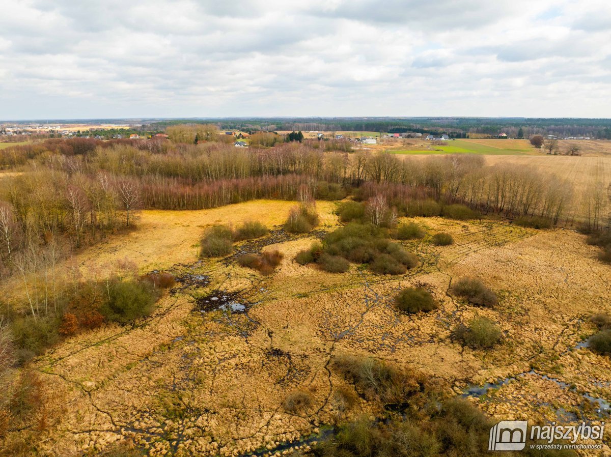 Długołęka - łąka 1,86ha (6)