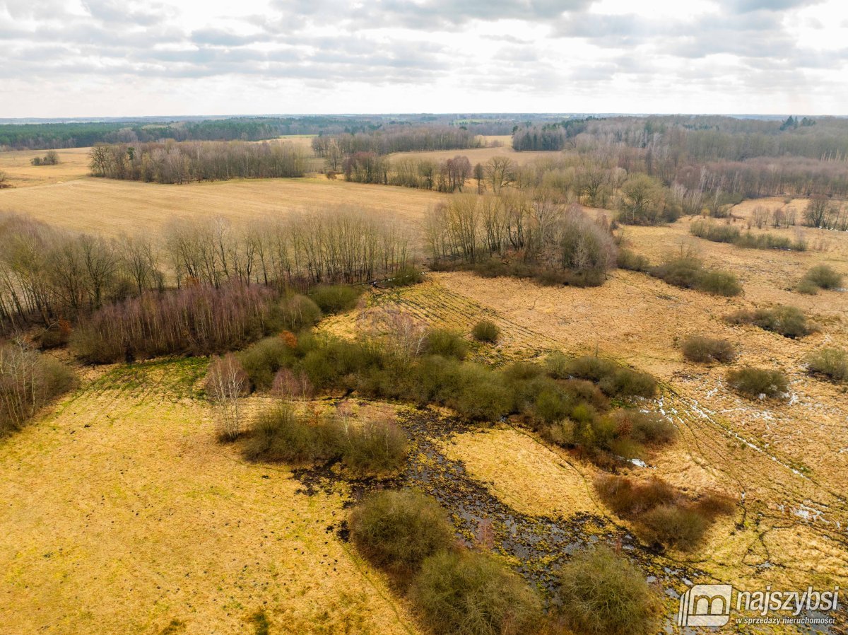 Długołęka - łąka 1,86ha (8)