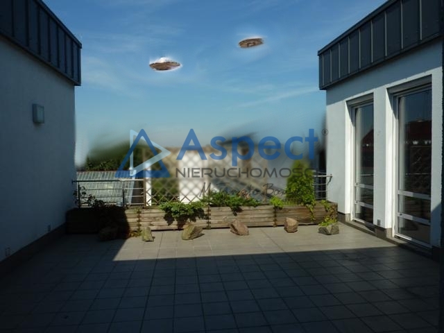 Lokal, 321 m2, 0 piętro, Szczecin Centrum (1)