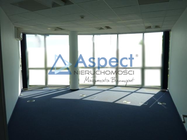 Lokal, 321 m2, 0 piętro, Szczecin Centrum (3)