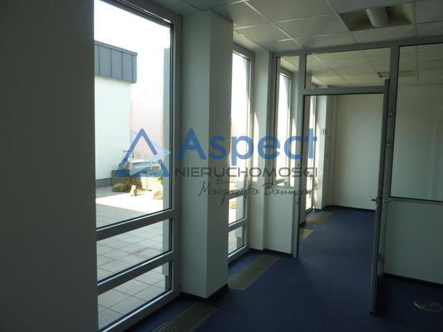 Lokal, 321 m2, 0 piętro, Szczecin Centrum (10)