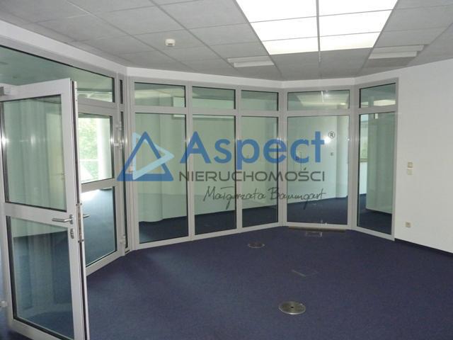 Lokal, 321 m2, 0 piętro, Szczecin Centrum (13)