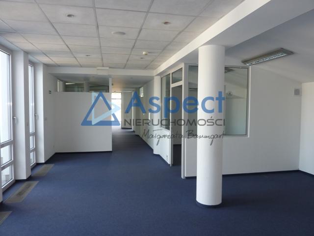 Lokal, 321 m2, 0 piętro, Szczecin Centrum (15)