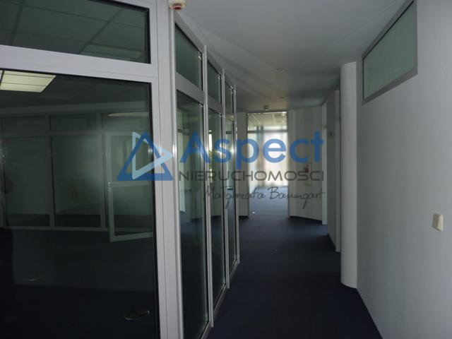 Lokal, 321 m2, 0 piętro, Szczecin Centrum (18)
