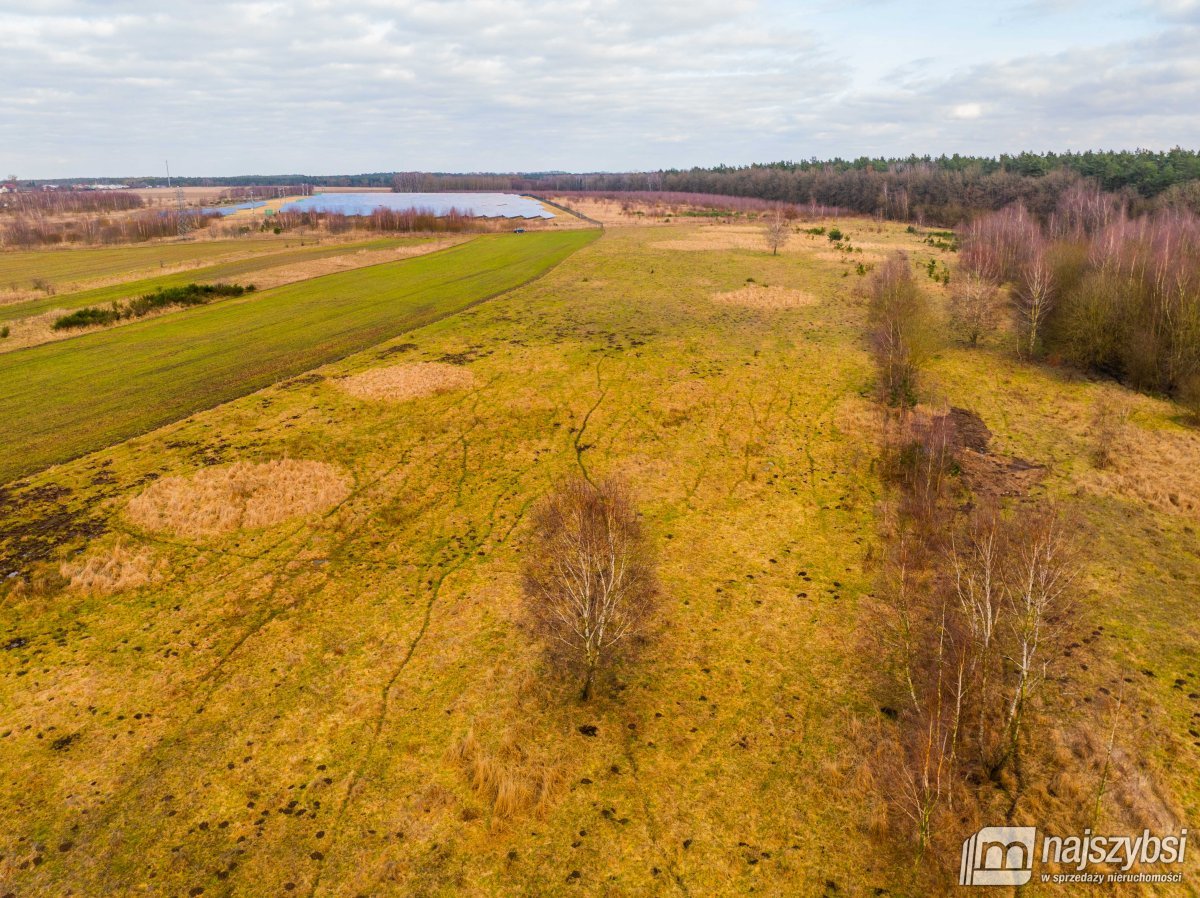 Nowe Kulice - działka rolna 7121m2 (10)