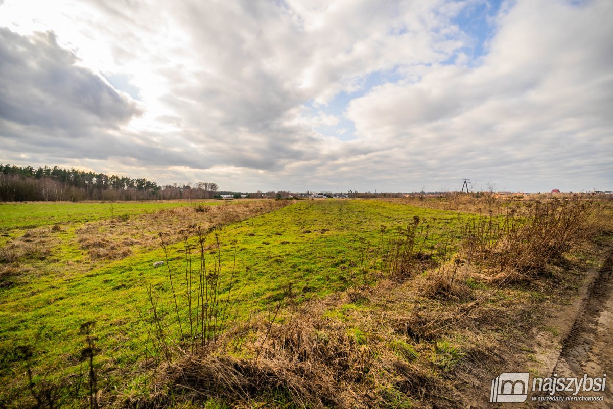 Nowe Kulice - działka rolna 7121m2 (3)