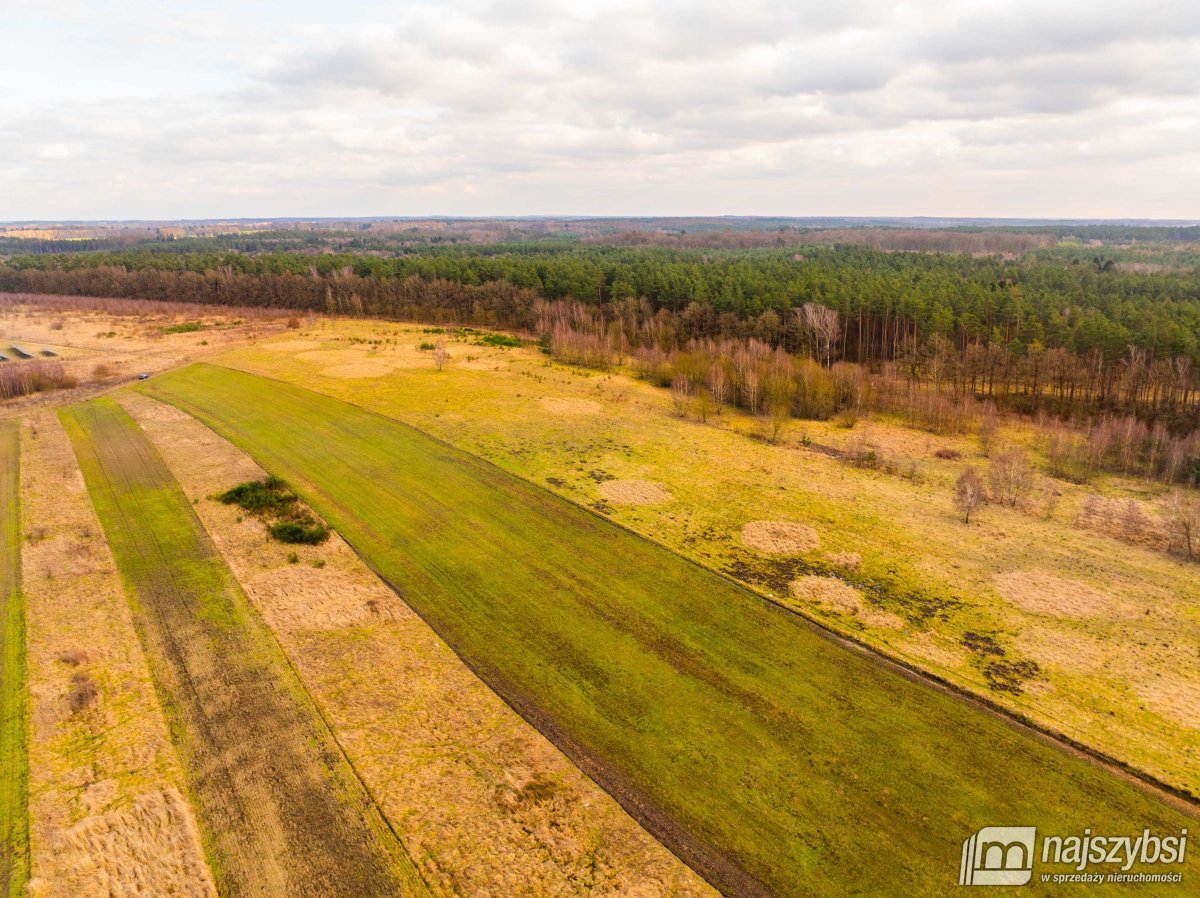 Nowe Kulice - działka rolna 7121m2 (8)