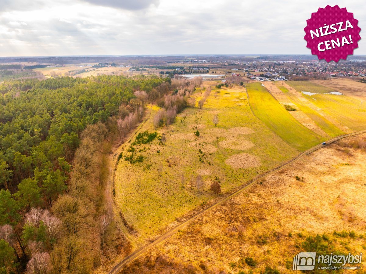 Nowe Kulice - działka 4,13ha (1)