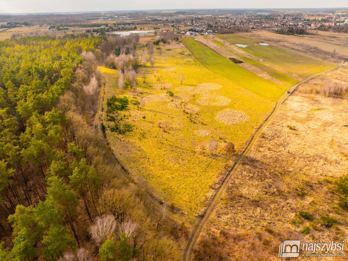 Nowe Kulice - działka 4,13ha (10)