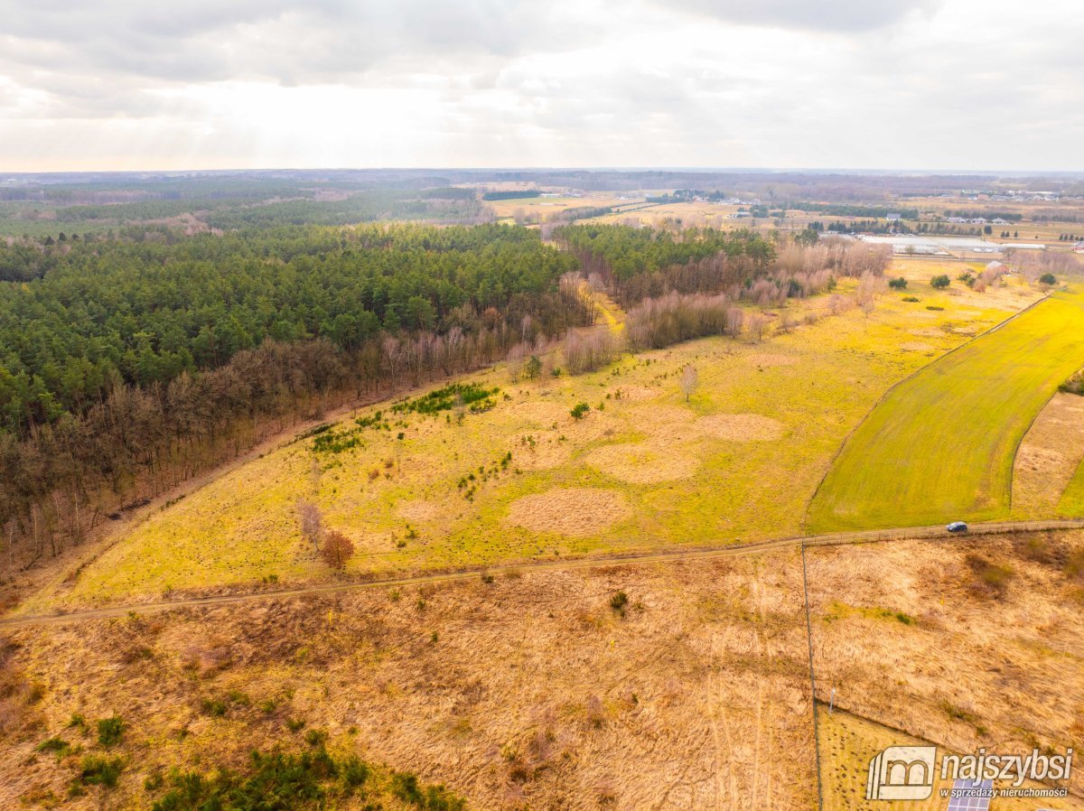 Nowe Kulice - działka 4,13ha (11)