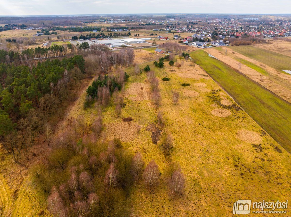 Nowe Kulice - działka 4,13ha (12)