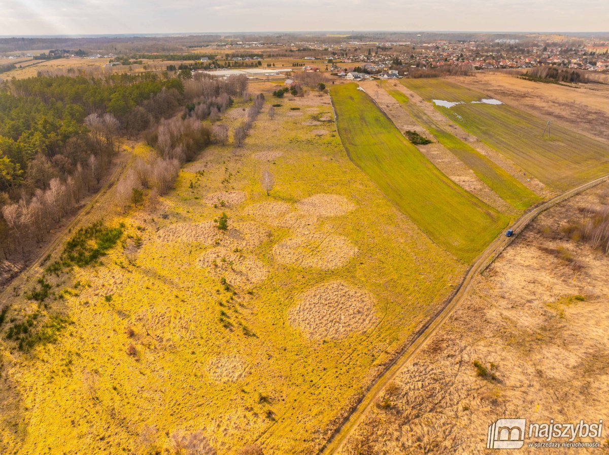 Nowe Kulice - działka 4,13ha (13)