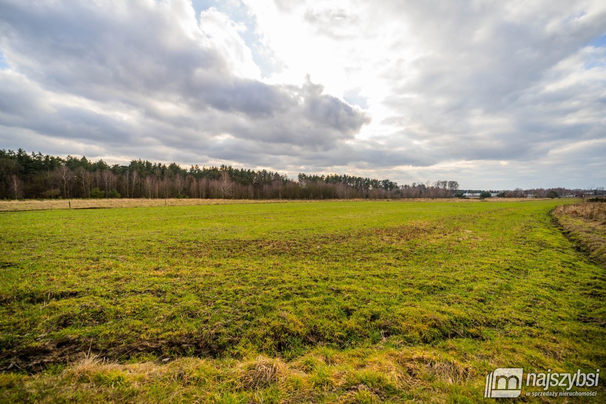 Nowe Kulice - działka 4,13ha (16)