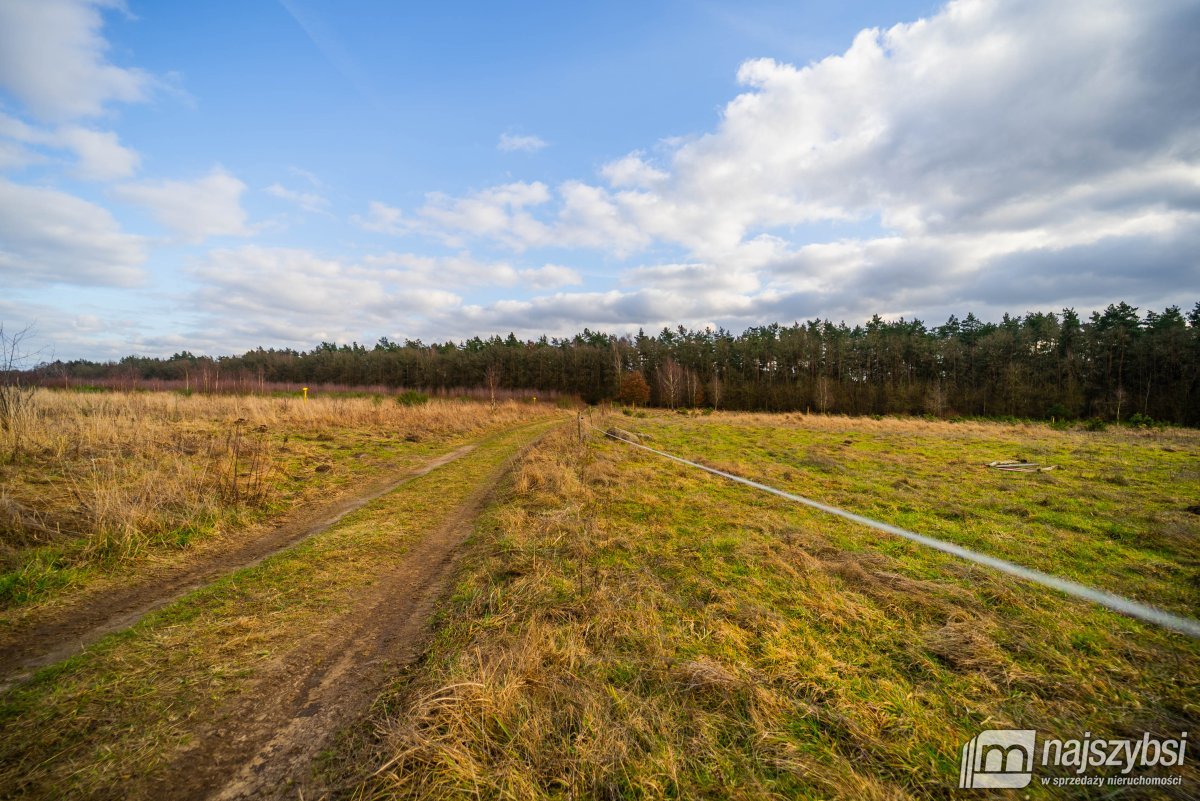 Nowe Kulice - działka 4,13ha (2)