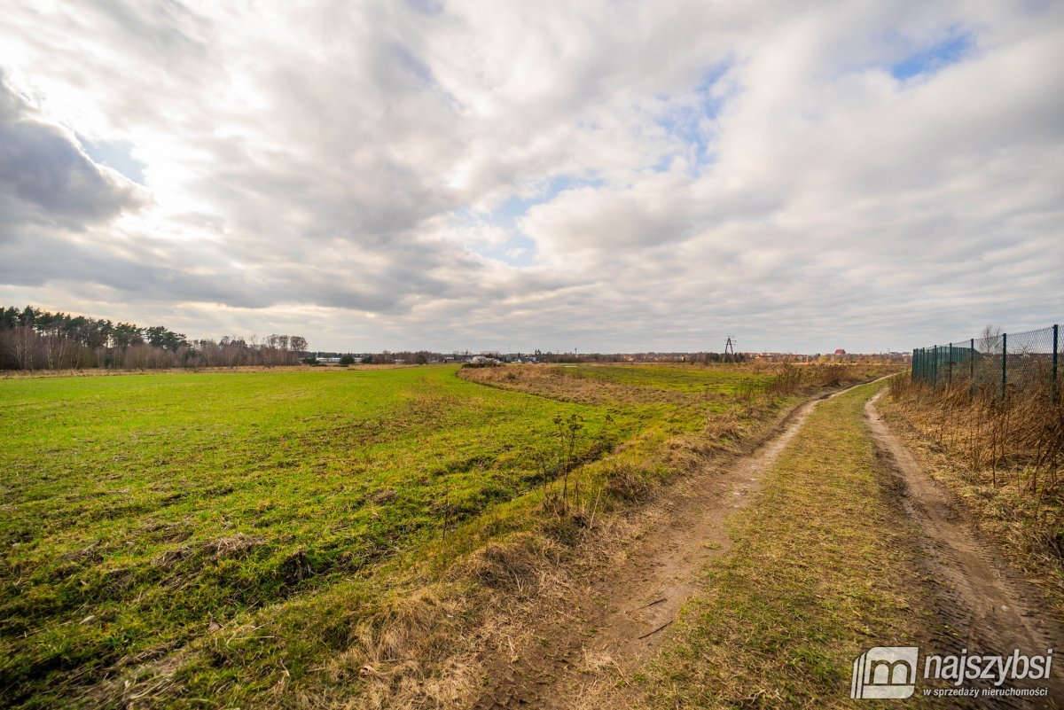 Nowe Kulice - działka 4,13ha (3)