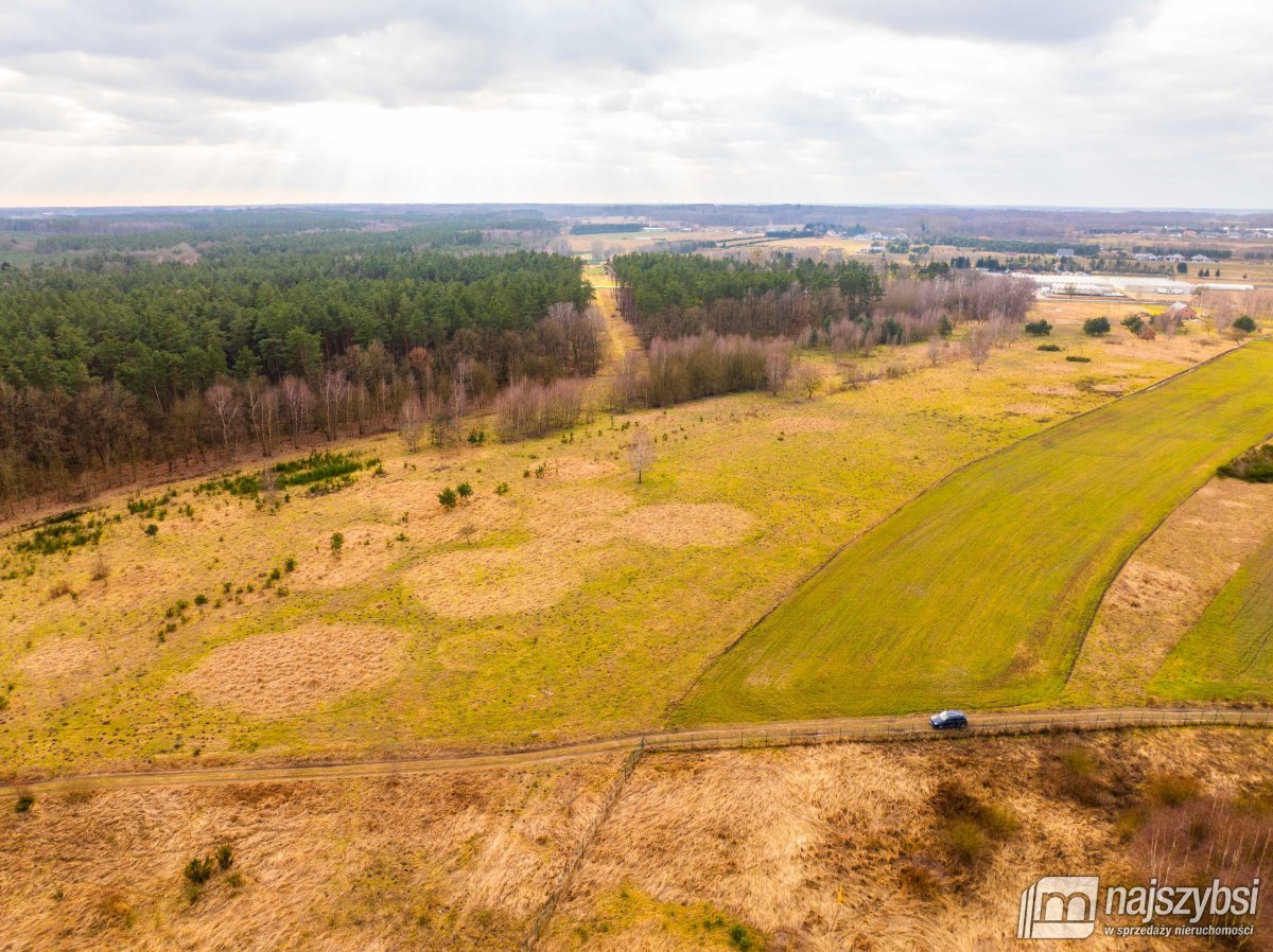 Nowe Kulice - działka 4,13ha (7)