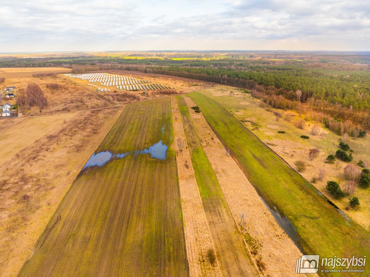 Nowe Kulice - działka 1,73ha (2)