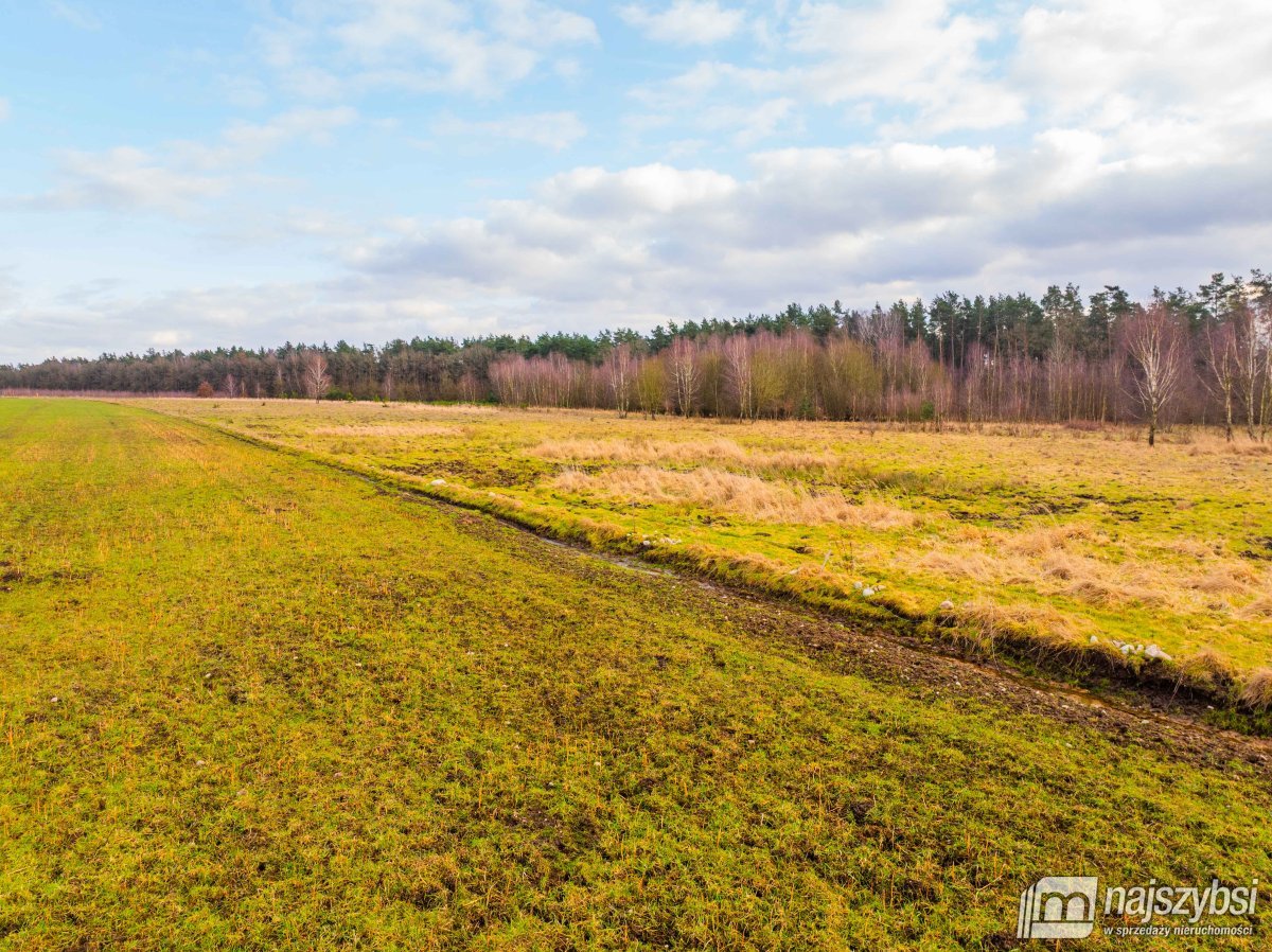 Nowe Kulice - działka 1,73ha (3)