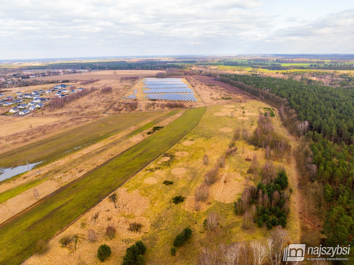 Nowe Kulice - działka 1,73ha (4)