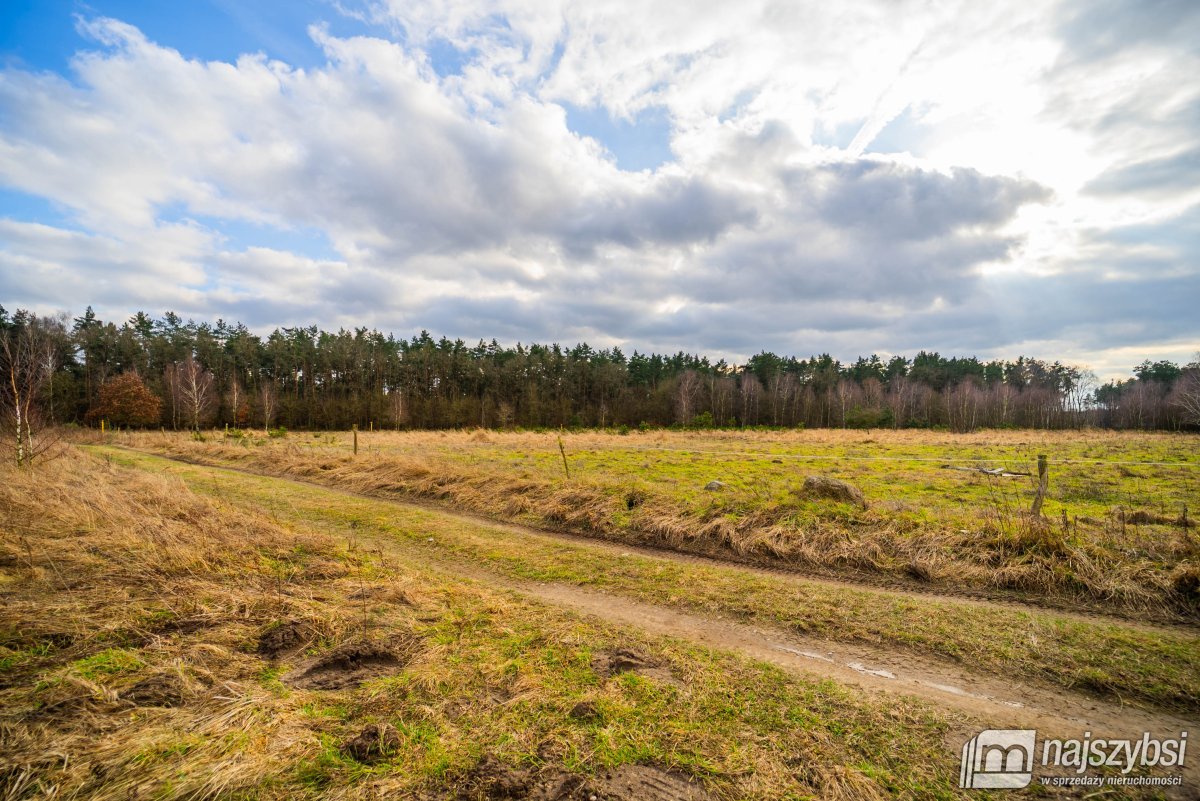 Nowe Kulice - działka 1,73ha (7)