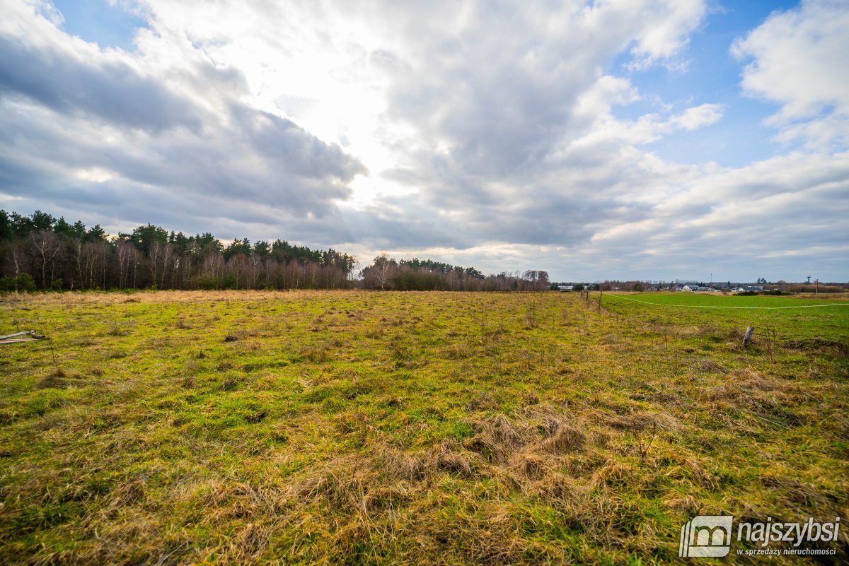 Nowe Kulice - działka 1,73ha (9)