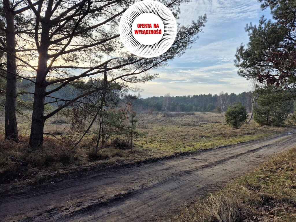 Działki Świnoujście - pod lasem - wszystkie media (1)