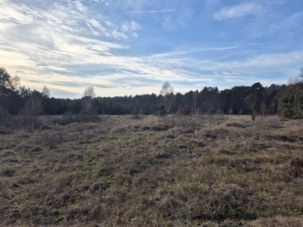 Działki Świnoujście - pod lasem - wszystkie media (11)