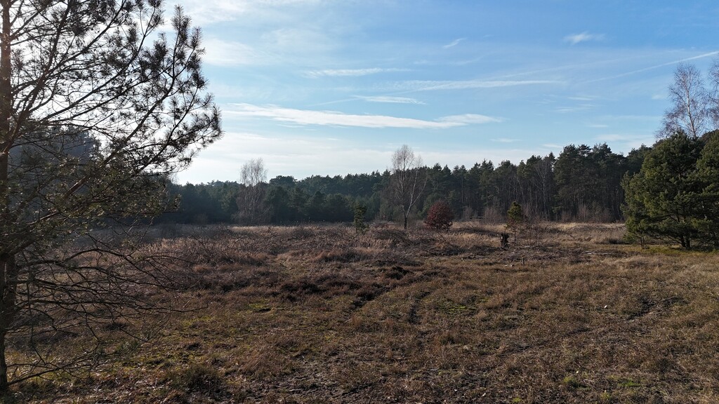 Działki Świnoujście - pod lasem - wszystkie media (12)