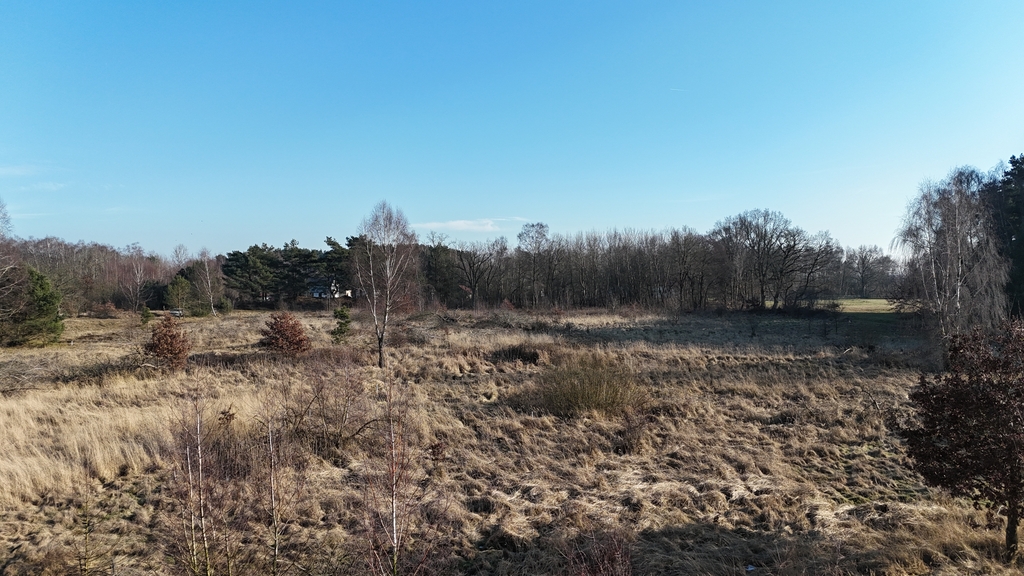 Działki Świnoujście - pod lasem - wszystkie media (13)