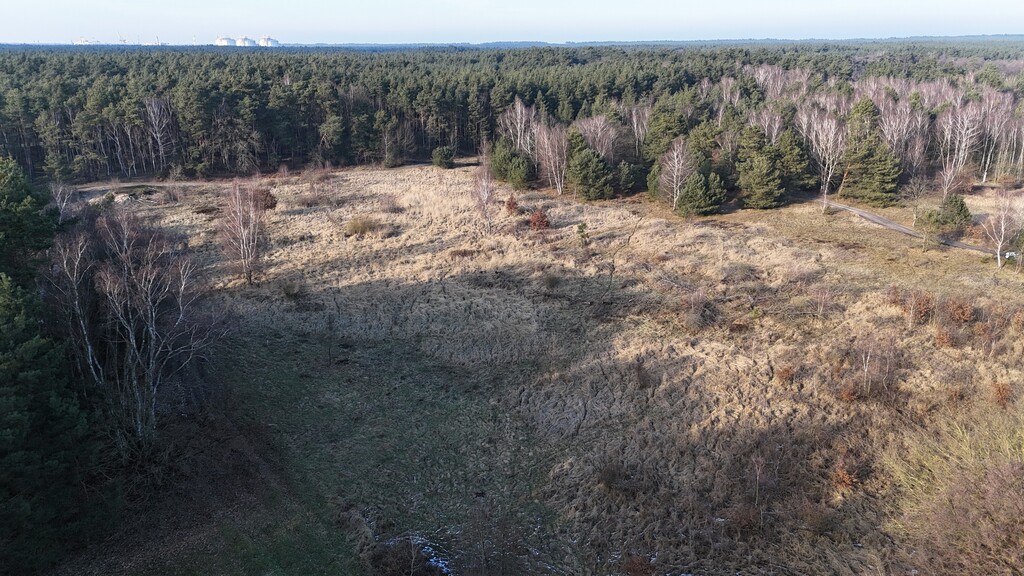 Działki Świnoujście - pod lasem - wszystkie media (14)