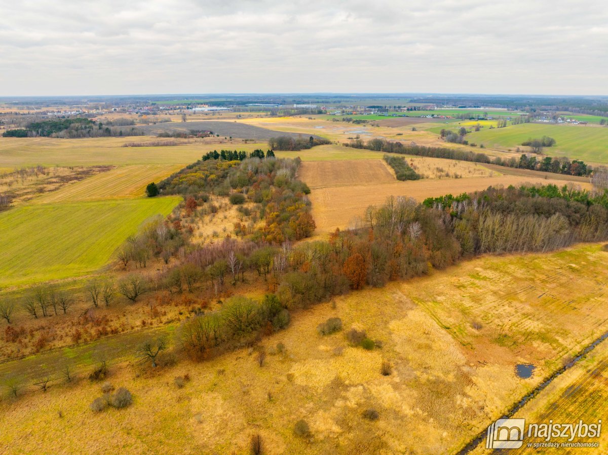 Nowogard - działka rolna 7159m2 (1)