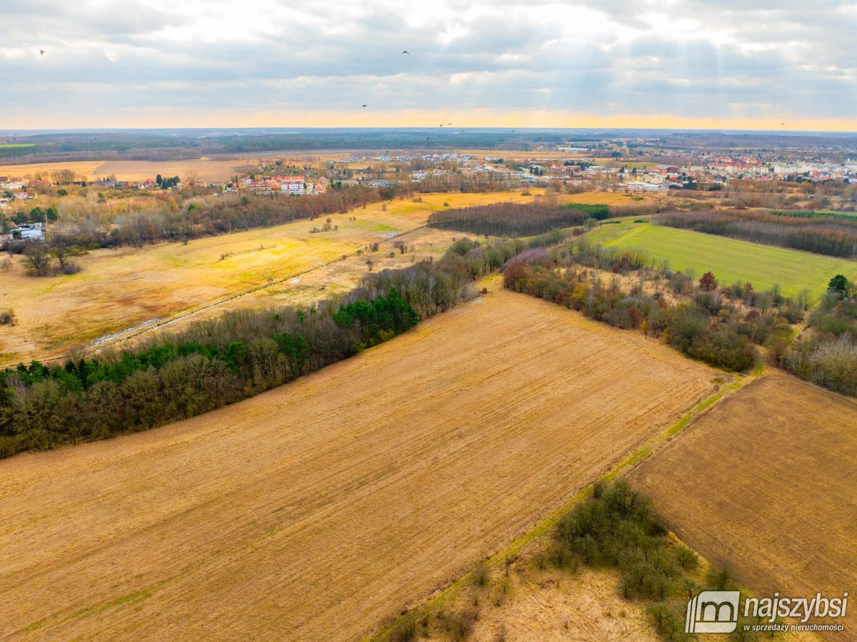 Nowogard - działka rolna 7159m2 (11)