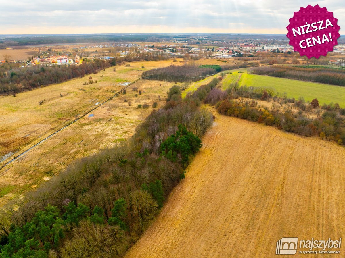 Nowogard - działka rolna 7159m2 (2)