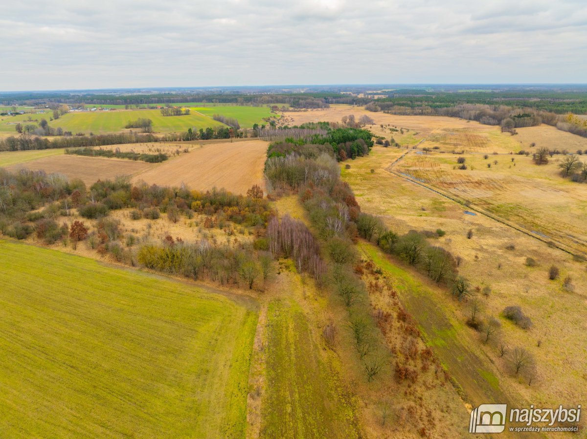 Nowogard - działka rolna 7159m2 (3)