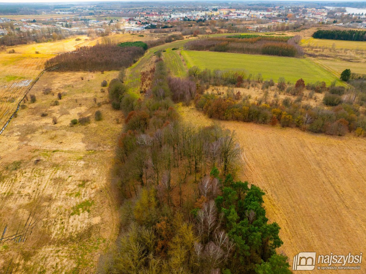 Nowogard - działka rolna 7159m2 (4)